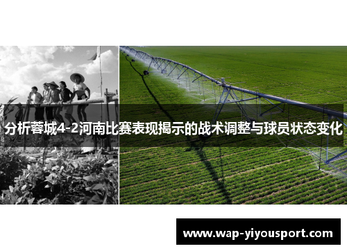 分析蓉城4-2河南比赛表现揭示的战术调整与球员状态变化
