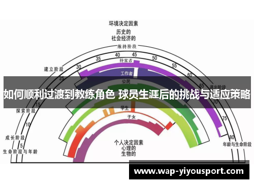 如何顺利过渡到教练角色 球员生涯后的挑战与适应策略