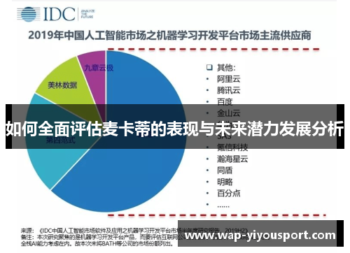 如何全面评估麦卡蒂的表现与未来潜力发展分析